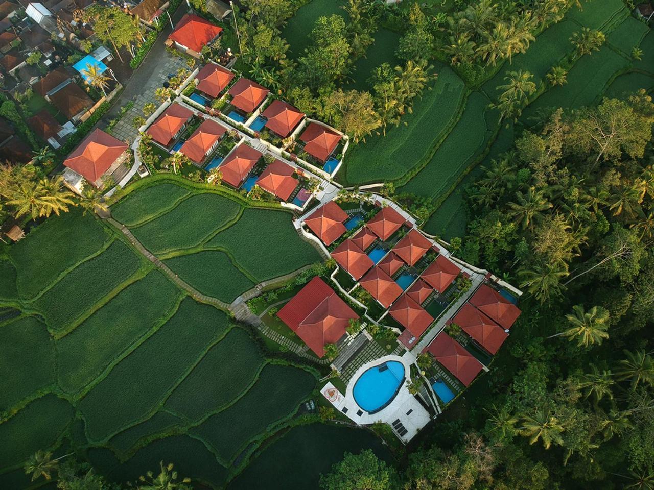 Vrindavan Ubud Villa Tegallalang  Eksteriør billede