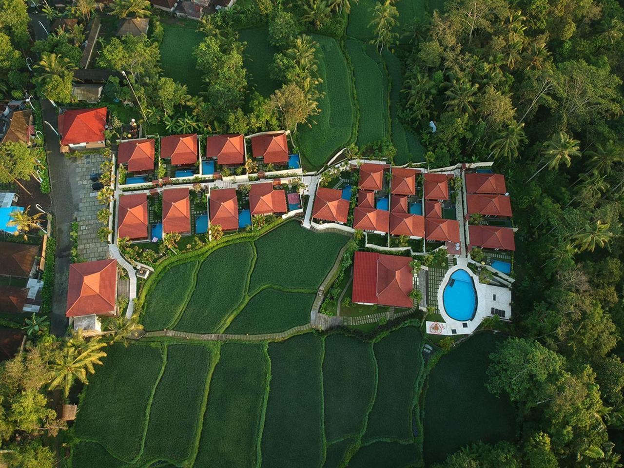 Vrindavan Ubud Villa Tegallalang  Eksteriør billede