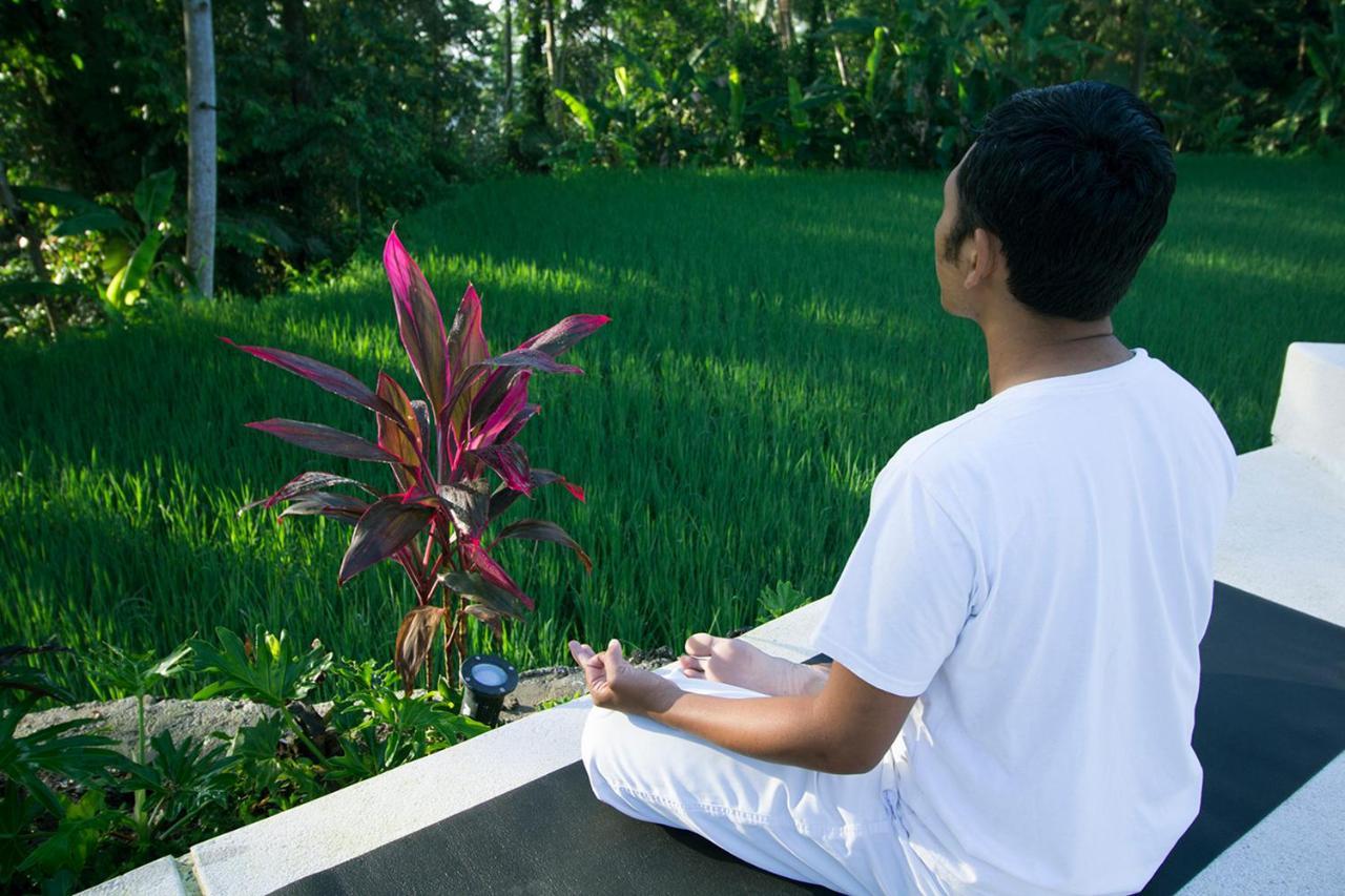 Vrindavan Ubud Villa Tegallalang  Eksteriør billede